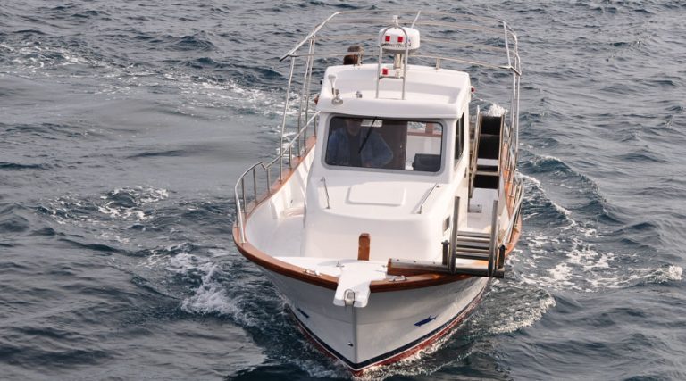 Boat Saronic 830 200hp