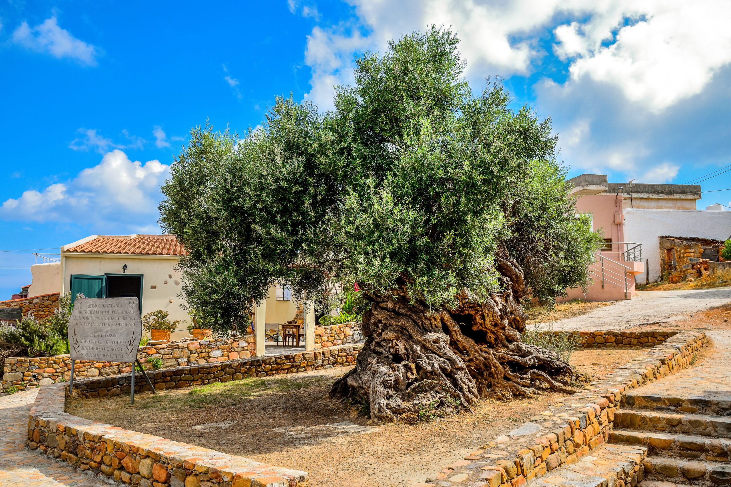 imgi_93_dreamstime_xxl_195993571-2